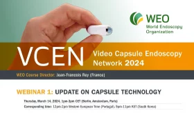 VCEN 2024 Webinar 1 flyer thumbnail
