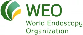 WEO Logo
