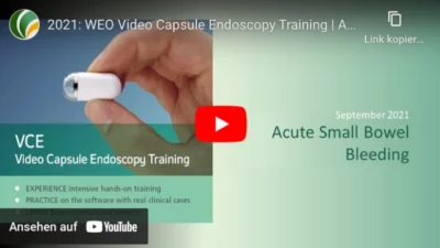 Video capsule endoscopy training
