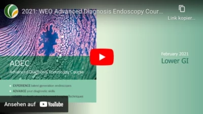 Advanced diagnosis endoscopy course