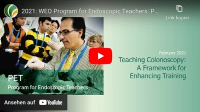Program for endoscopic teachers