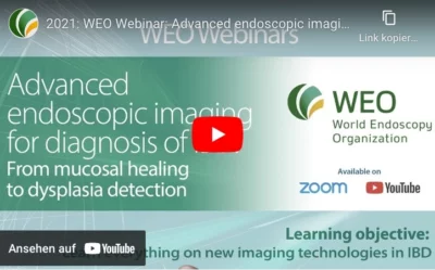 Advanced endoscopic imaging for diagnosis of ibd