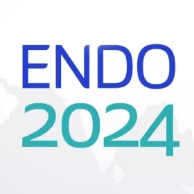 Endo2024