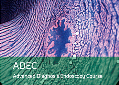 A-PSDE - JGES - WEO Advanced Diagnosis Endoscopy Course